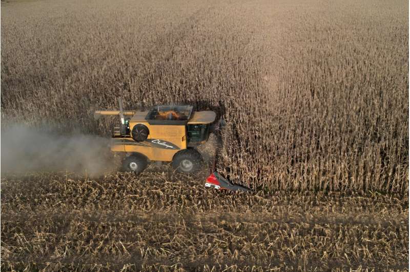 A farmer harvests his corn fields in Lobos, Buenos Aires province, Argentina