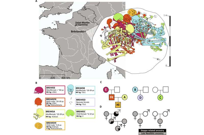 Gravesite in France offers evidence of steppe integration with Late Neolithic Europeans