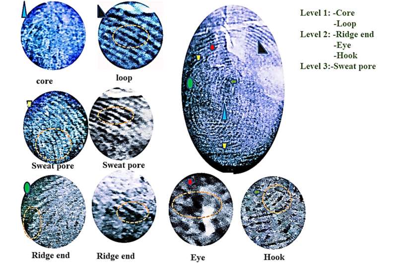 Improving fingerprint detection with carbon-coated nanoparticles