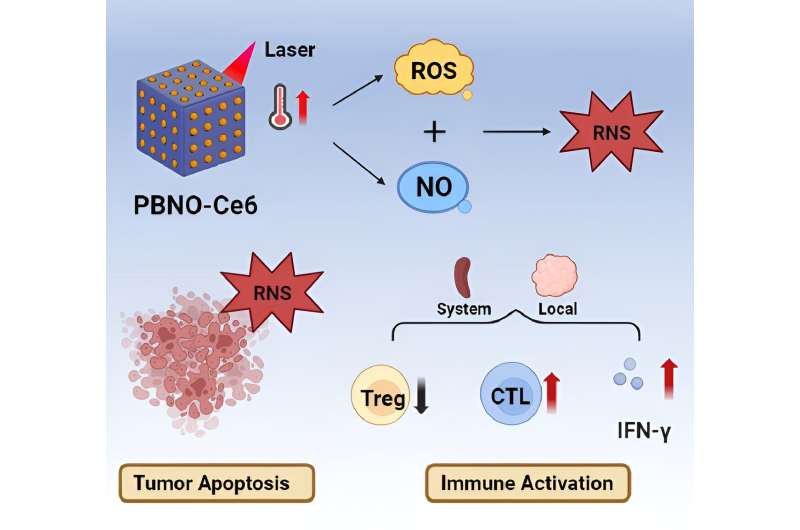 Improving the ability of phototherapy to stimulate the systemic immune response to cancer