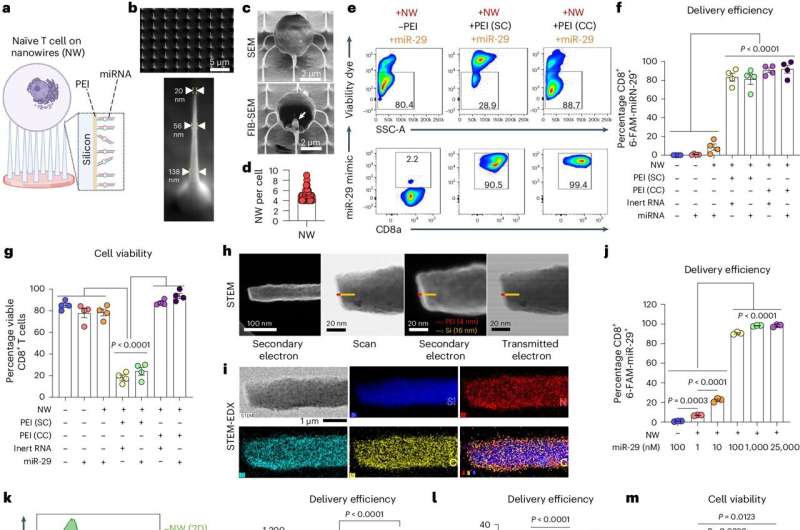 Nanowires create elite warriors to enhance T cell therapy