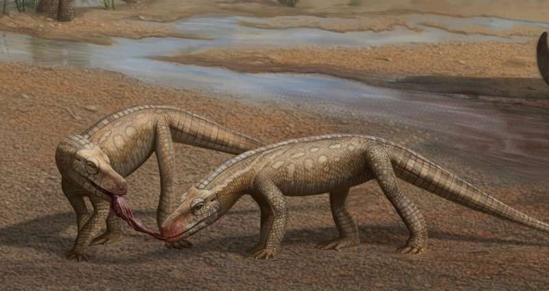 New, small, ancient crocodile-like reptile described in Brazil