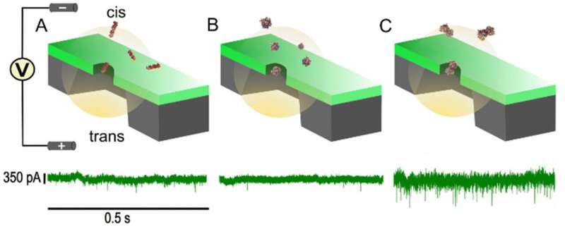 New tool to detect protein-protein interactions could lead to promising avenues for gene therapy and other treatments