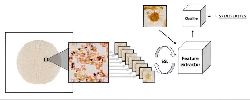 Researchers at the University of Tromsø develop novel AI algorithm for analyzing microfossils