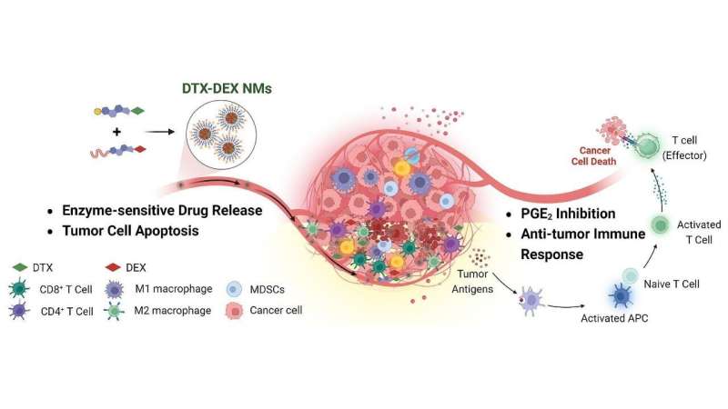 Scientists in Brazil and India collaborate on research to create promising treatment for solid tumors