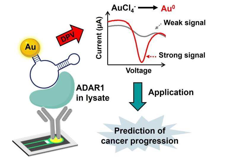 Sensing a biomarker