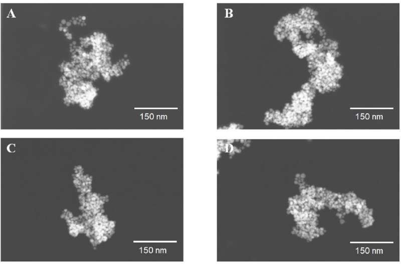 Shaping nanoparticles with enzymes