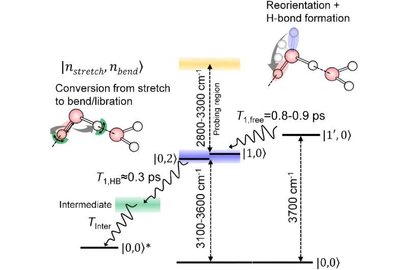 Spectroscopic technique that singles out water molecules lying on the surface reveals how they relax after being excited