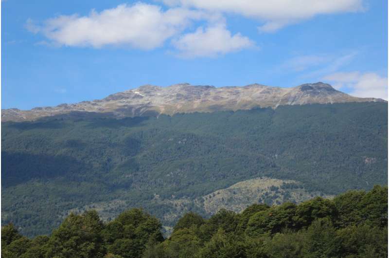 Wild yeasts from Patagonia could yield new flavors of lagers